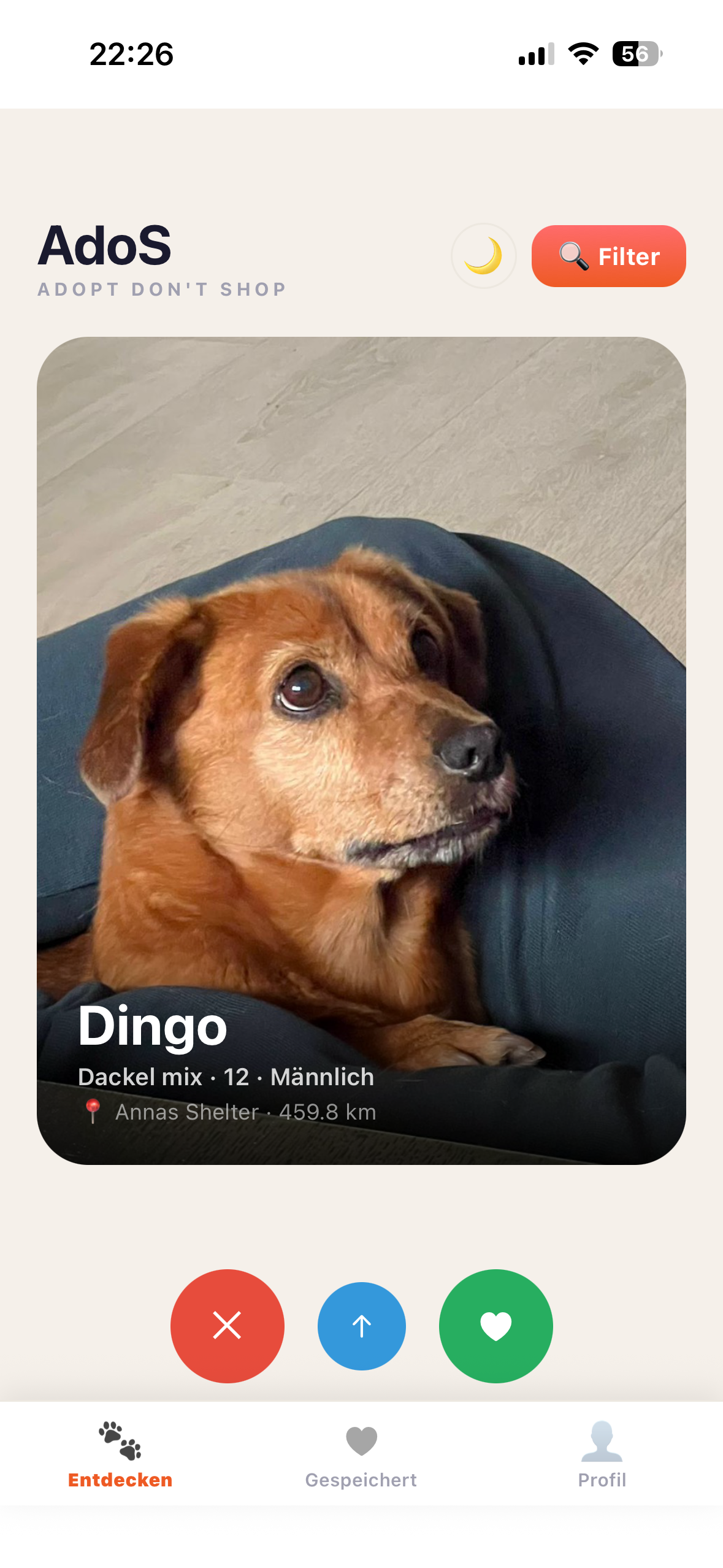 AdoS App – Swipe-Feed mit Tierkarten